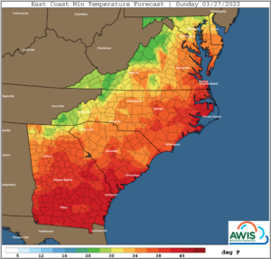 Cover photo for Upcoming Frost Could Threat Early Bud Break Cultivars