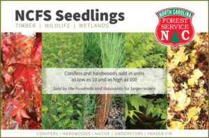 North Carolina Forestry Service Seedling Sale