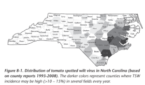 Cover photo for Thrips Flight and TSWV Risk Assessment Report - April 23, 2025
