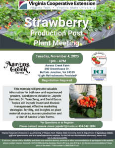 strawberry post-plant meeting flyer